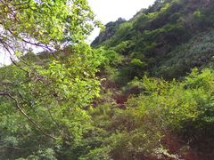 -宁波五龙潭景区