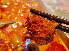 -渝大龙重庆火锅(温泉月亮湾店)