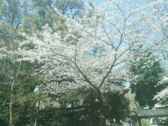-台场海滨公园船码头