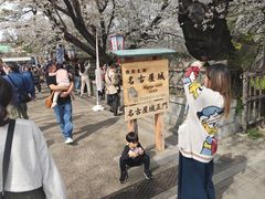-名古屋城