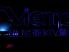 -维尼亚KTV(郴州店)