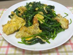 -阿姨来了家政·育儿嫂养老(远洋商务店)