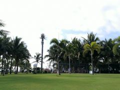 -宴悦海鲜餐厅·游水海鲜·牛排(亚龙湾瑞吉店)