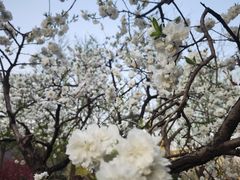 -绿堤公园