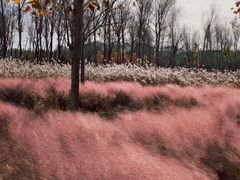 -东郊湿地公园