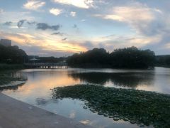 -新江湾城公园