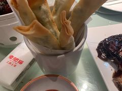 臭豆腐春卷-佬肥猫(国华广场店)