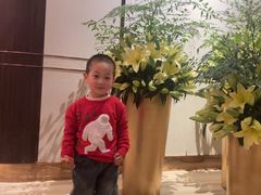 -彩丰楼·中餐厅(国家会展中心上海洲际店)