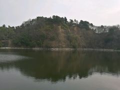 -王借岗森林公园