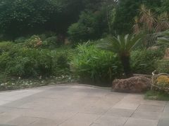 -晓港公园