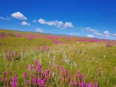 -青海湖国家重点风景名胜区