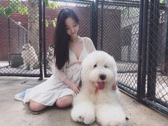 -TrueLove @ Neverland (Husky Cafe)