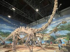 -自贡恐龙博物馆
