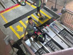 -圣淘沙天际线斜坡滑车