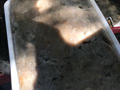 -二七友名焖子铺