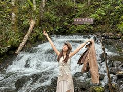 -峡谷浮石林景区