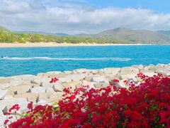 -三亚南山文化旅游区