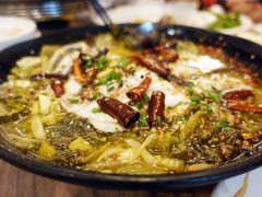 -九毛九西北菜(番禺万达店)