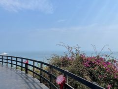 -涠洲岛火山国家地质公园