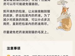 -艾贝尔宠物诊疗