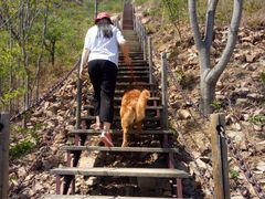 -大岭沟猕猴桃谷风景区