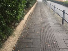 -美豪怡致酒店(上海长寿路店)