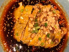 -靓蛙馆