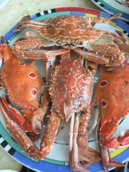 -阳光五洲大酒店·宴会厅