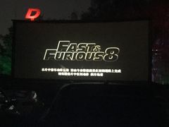 -枫花园汽车电影院(朝阳公园店)