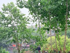 -成都市活水公园