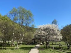 -大水川景区