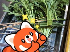 -串掌门砂锅串串香