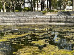 -南通博物苑-崇川人民公园