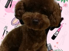 -沐沐家宠物(成寿寺店)