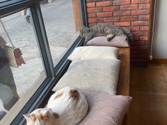 -B.O.M波姆烘焙(凤凰街店)