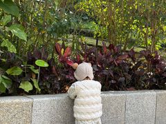 -云溪植物园