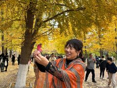 -辽宁大学(崇山校区)