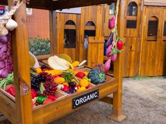 -浦东民办万科幼儿园