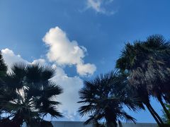 -昆明植物园
