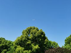 -东华大学(松江校区)