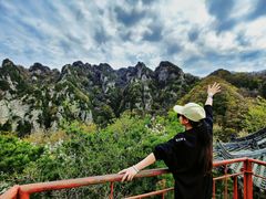 -王顺山国家森林公园