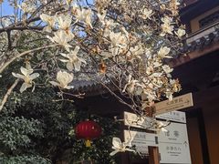 -龙华寺