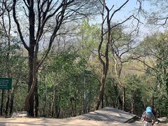 -紫金山山顶公园