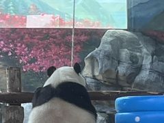 -武汉动物园
