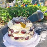 求你们快去实现车厘子自由‼️别错过了‼️