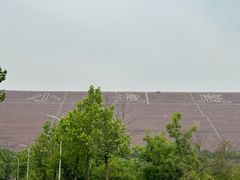 -黄河小浪底水利枢纽风景区