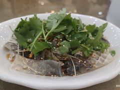 -轩记海鲜餐厅·四十五年老字号·经典粤菜(西区彩虹店)
