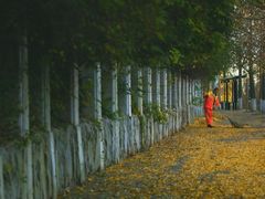 -长白岛森林公园