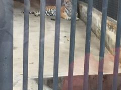 -祥源·阜阳生态乐园