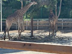 -水上乐园·欢乐世界